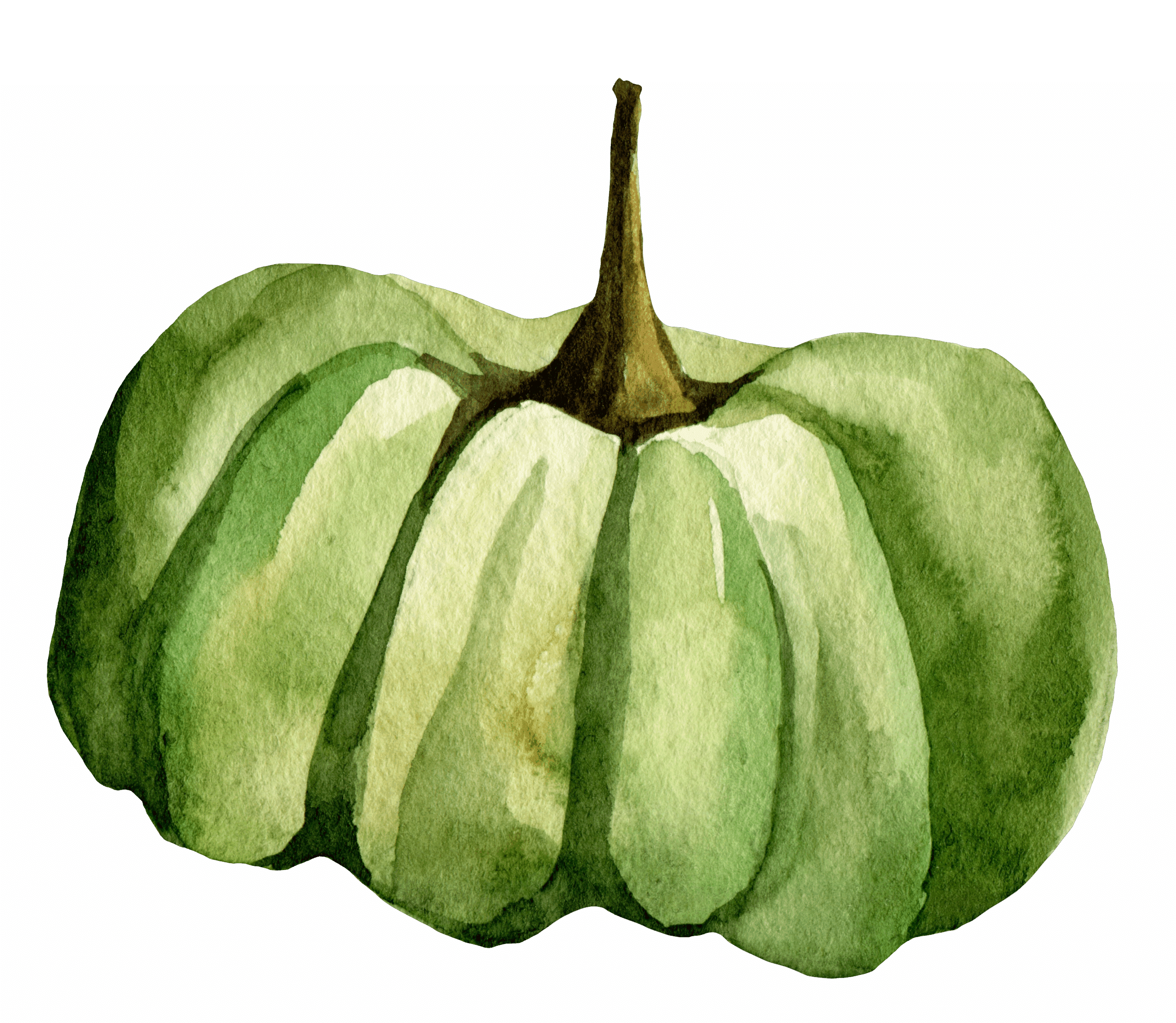 Green watercolor pumpkin